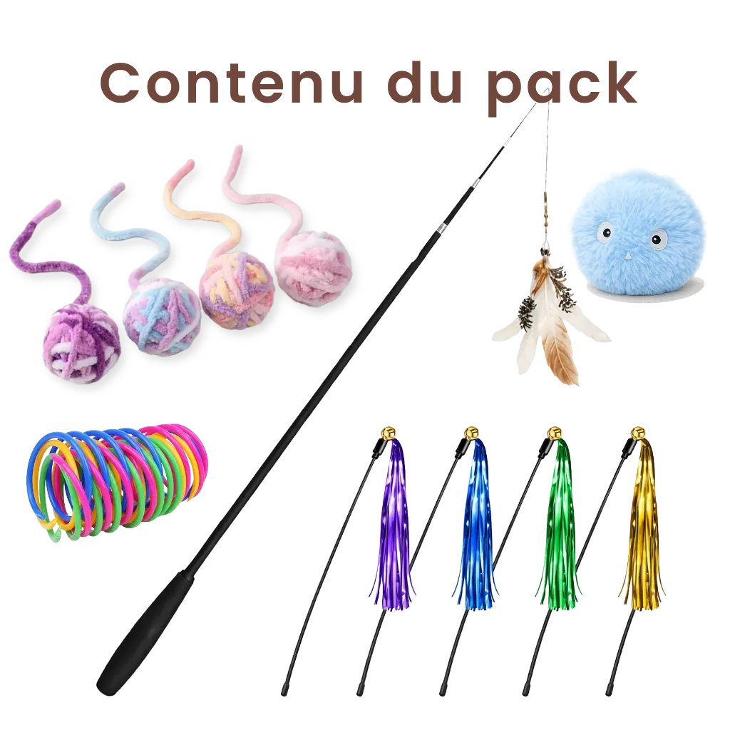 Pack Stateur Contenu.webp