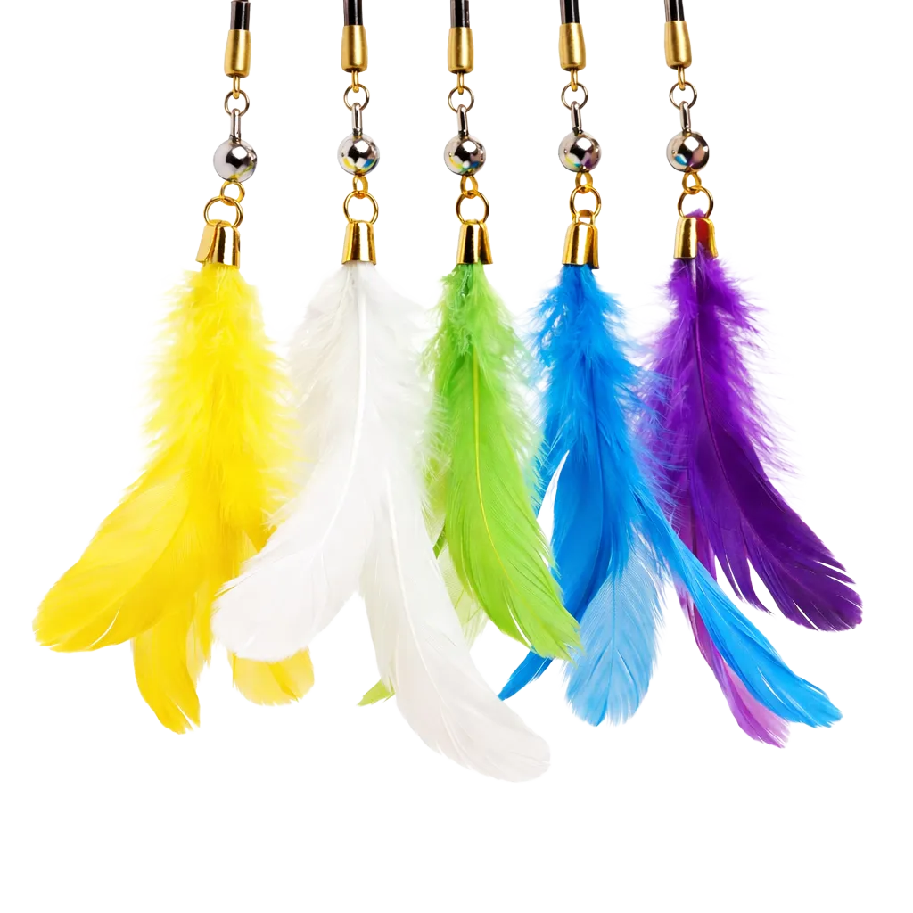 ChatGPT Image 31 déc. 2025, 22_43_06.webp