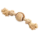 206.webp