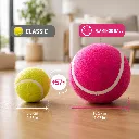 216.webp