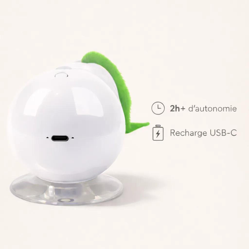 ChatGPT Image 23 janv. 2026, 16_08_14.webp