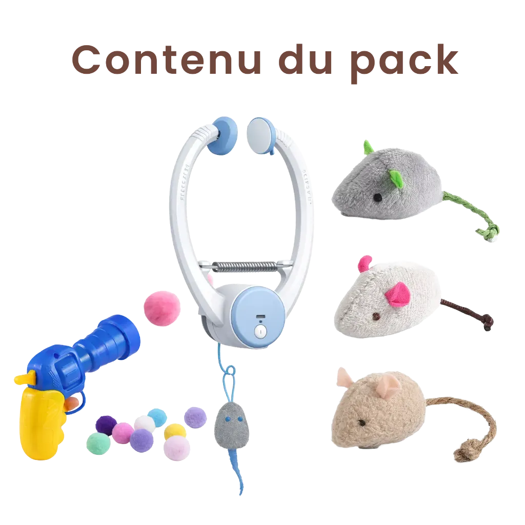 Contenu du pack Chasseur.webp