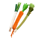 Vegetable Chew Toy