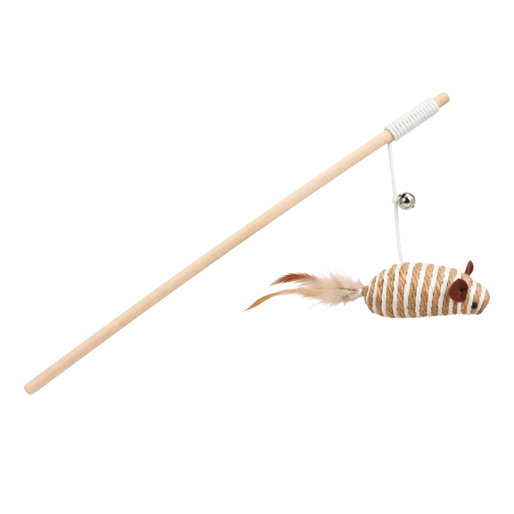 Canne en bois avec plume (Souris)