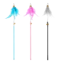 Lot of Stick with Feather