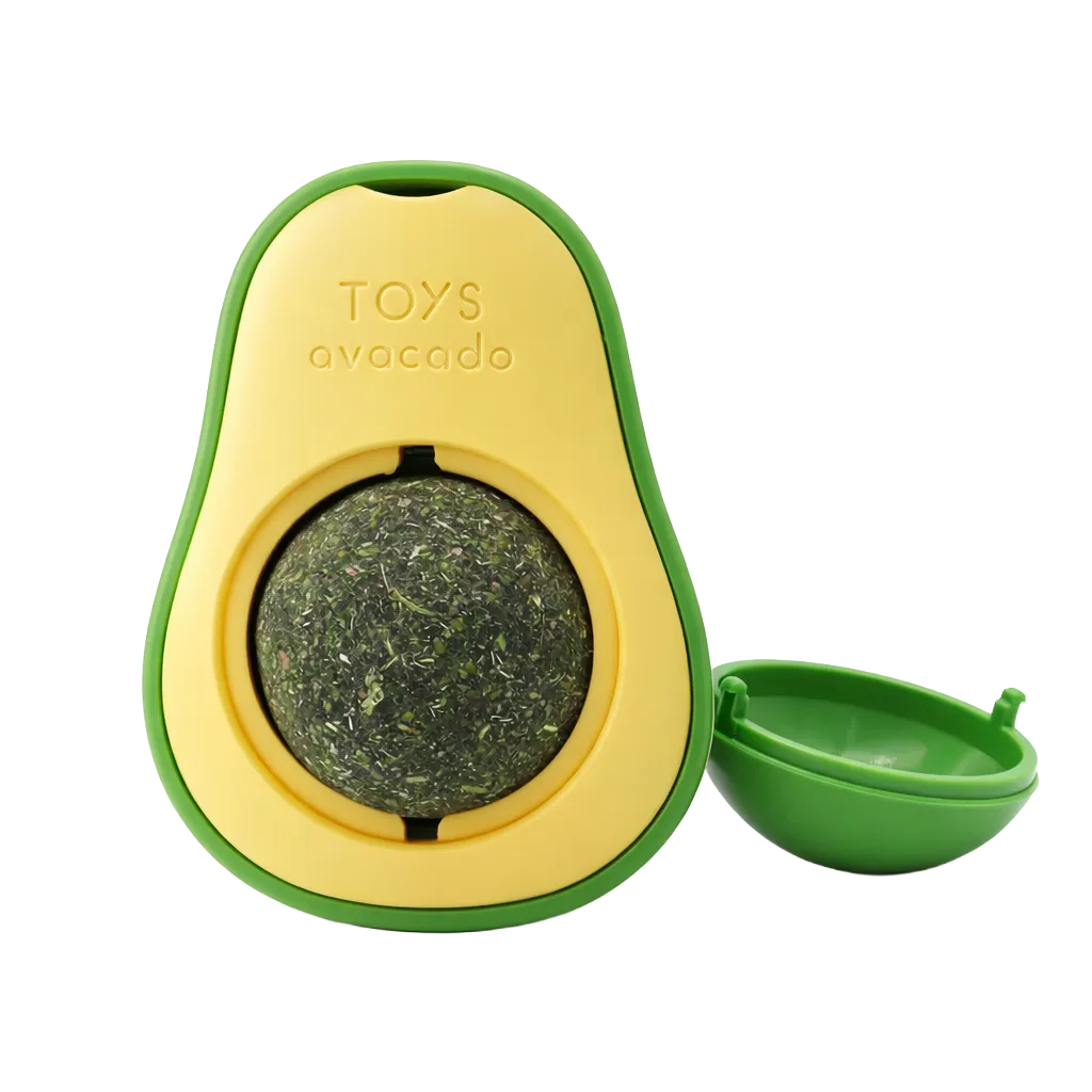 Avocat Herbe à chat