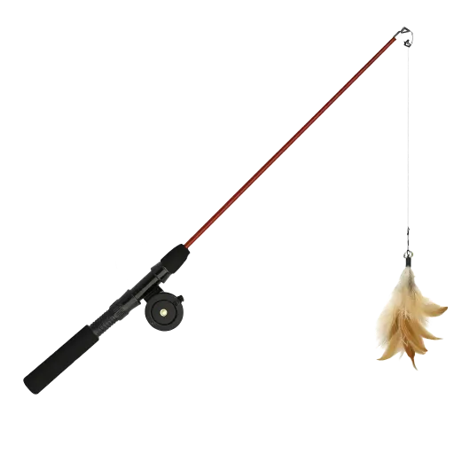 Canne à Pêche Moulinet