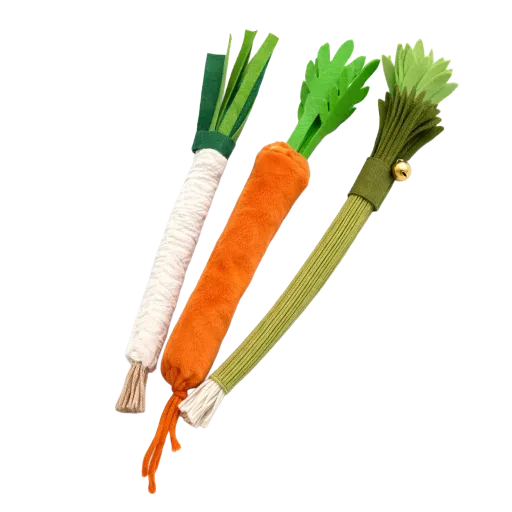 Jouet à mâcher en légume